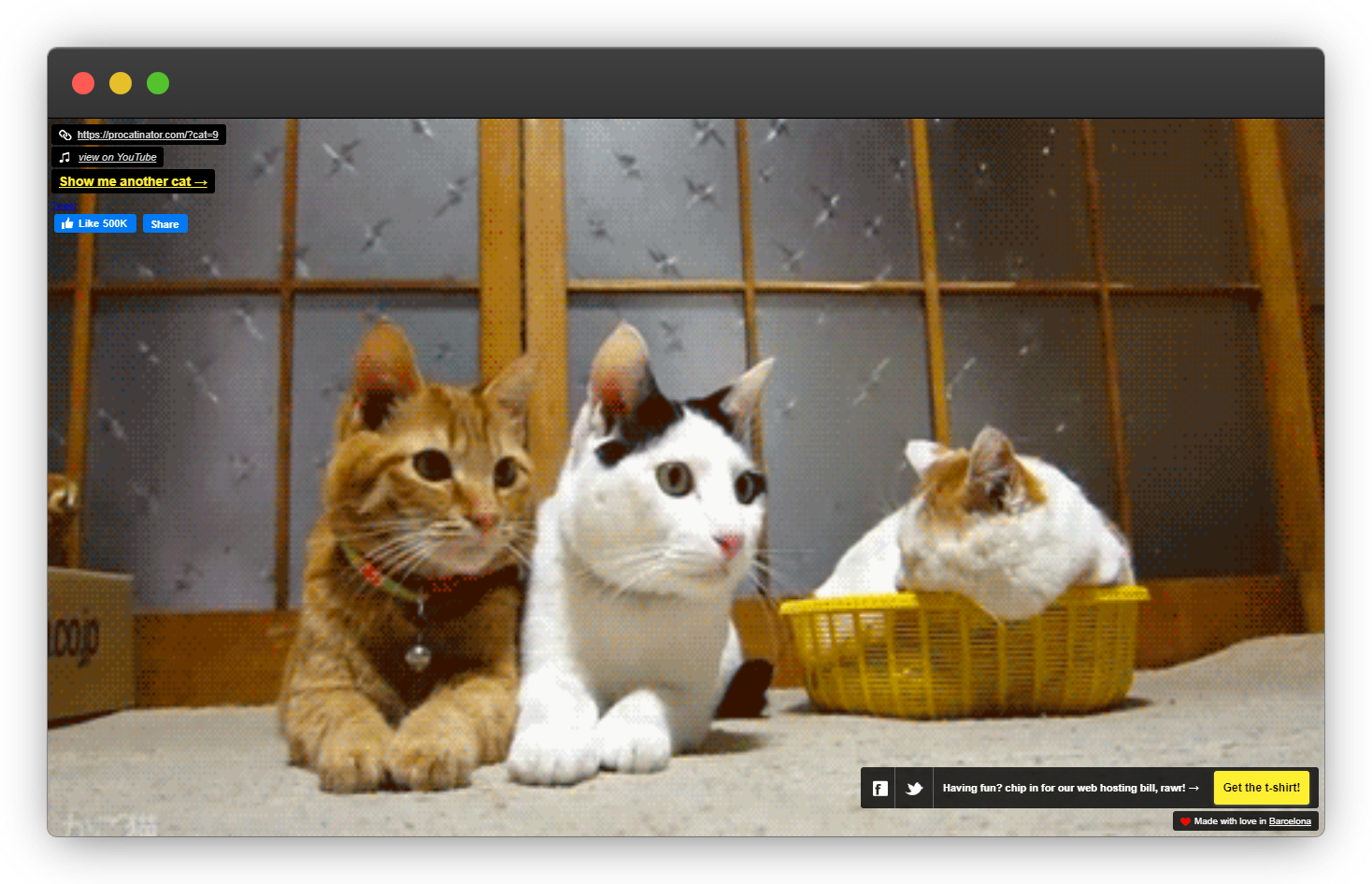 Procatinator landing page
