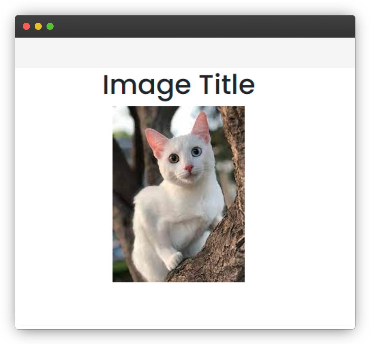 frame_generic_dark (5).png