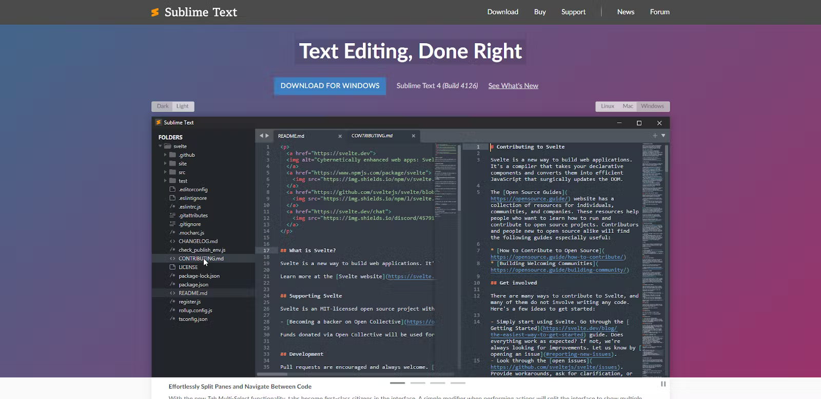 sublime is the 3rd best code editor